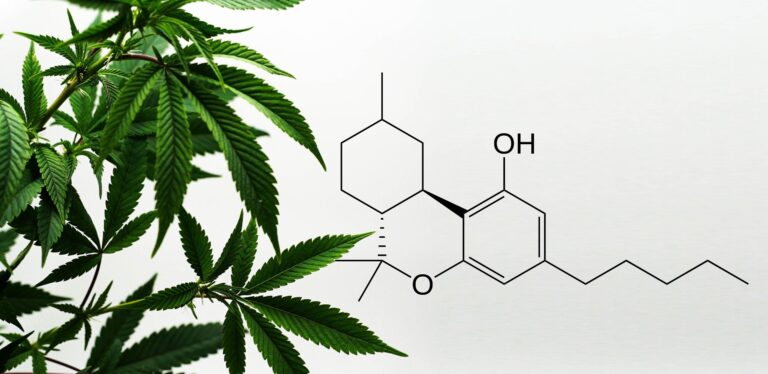 Hur känns hhc, hhc molekylen liknar cannabisplantan bredvid