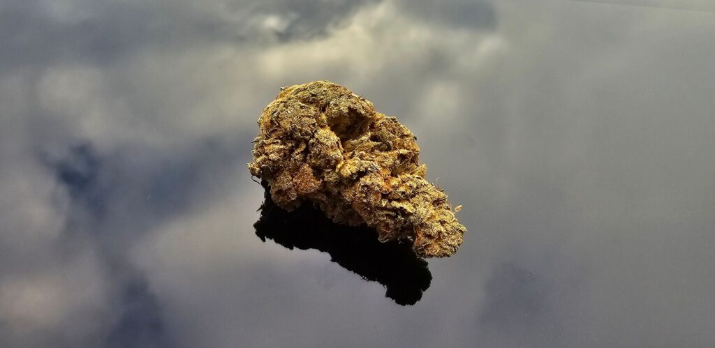 En enskild CBD bud ligger på en reflekterande yta med en suddig himmel som bakgrund.