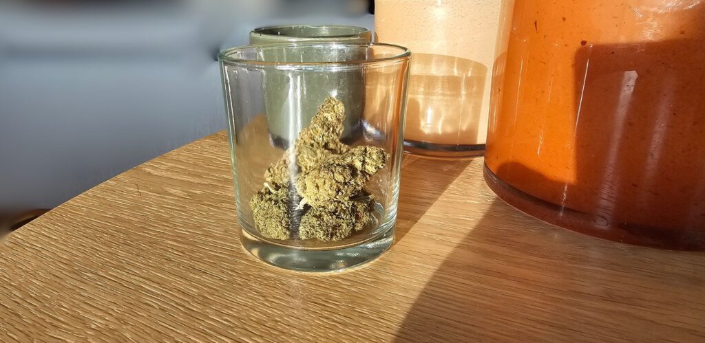 CBG buds i ett genomskinligt glas på ett träbord, belysta av naturligt solljus