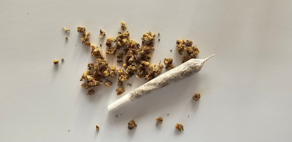 Uppdelade H4CBD buds bredvid en handrullad joint på en ljus bakgrund