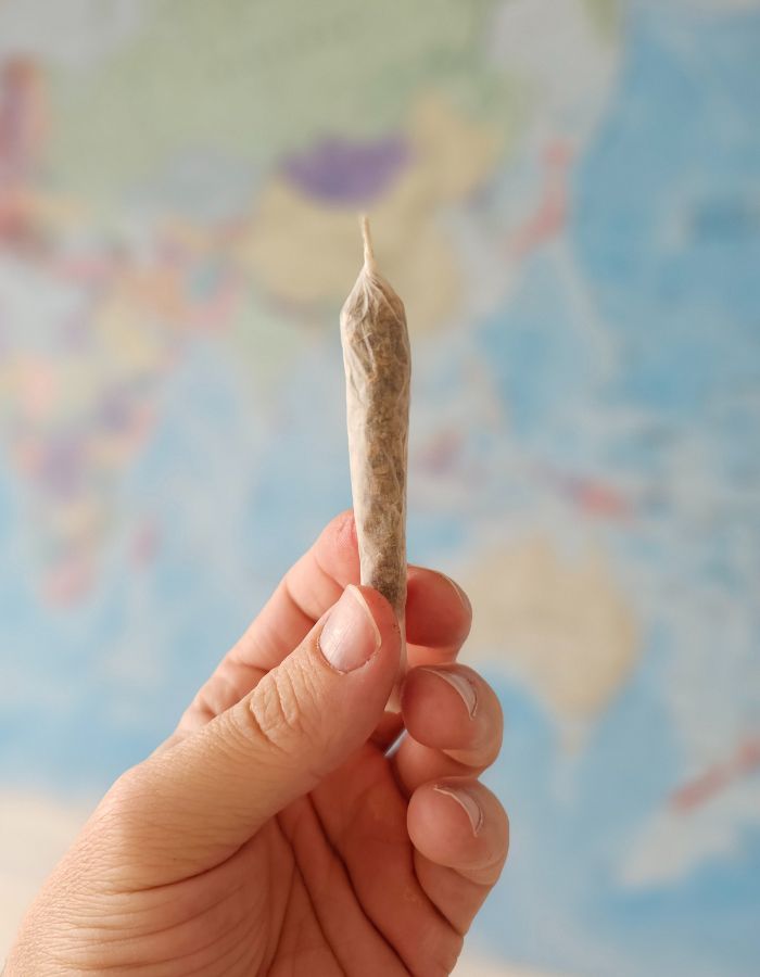 Hand håller en rullad joint fylld med HHC buds framför en suddig världskarta.