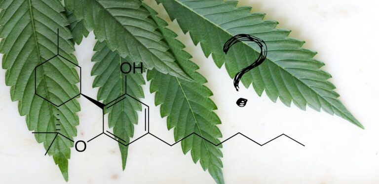 Vad är HHCP? symboliserat med en HHCP molekyl och ett frågetecken framför ett cannabislöv.