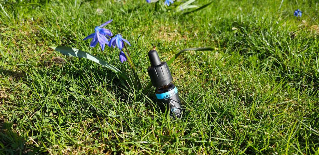 Flaska med CBD olja från Arktis Naturals ligger på en gräsmatta omgivna av blå blommor.